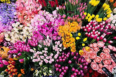 传PlayStation发布会5月25日那一周举办